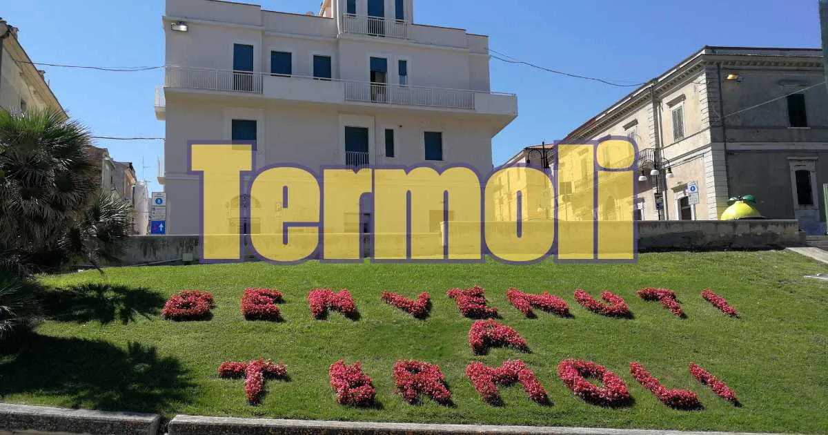 Pettirossi infreddoliti su un ramo, in attesa di tornare.